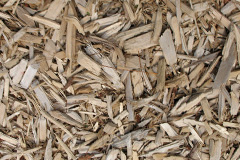 biomass boilers Tushielaw